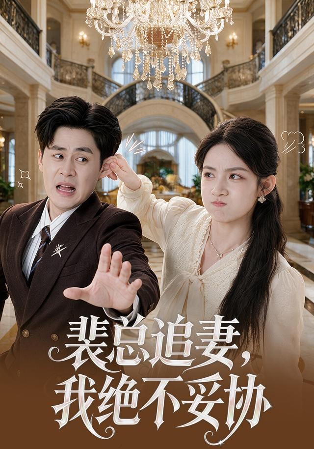 裴总追妻，我绝不妥协